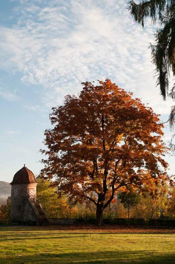 Zimmervermietung Vock Eschwege Extérieur photo